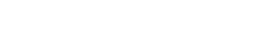 Nancy Schoellkopf Logo