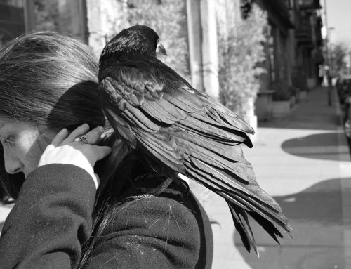 Becoming a Crone